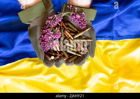 A Ukrainian soldier in gloves holds bullets from a machine gun against the background of the flag of Ukraine, weapons of the Ukrainian army, the war i Stock Photo