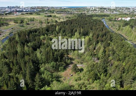 Forest in Reykjavik, Iceland: Ellida River Valley (Ellidaardalur