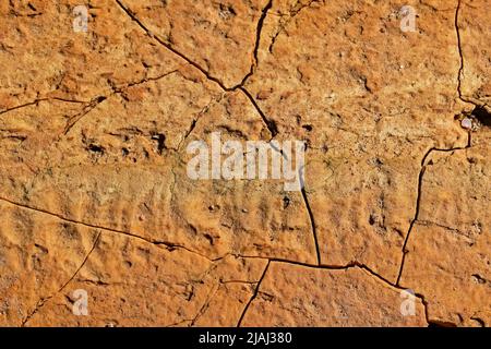 Dry and cracked soil surface detail Stock Photo