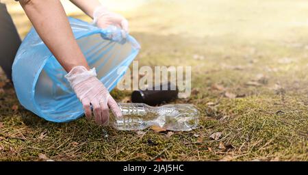 A woman hands in gloves collects and puts used plastic bottle into a blue trash bag. A volunteer cleans up the park on a sunny bright day. Clearing, p Stock Photo