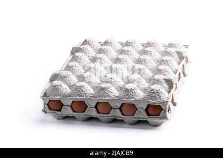 Fresh  chicken brown eggs in pack Stock Photo