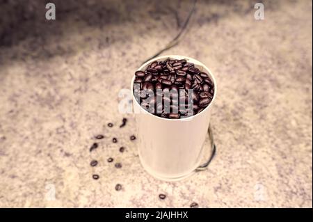 Whole coffee beans in a grinder on a kitchen countertop. Stock Photo