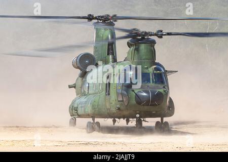 A Royal Netherlands Air Force CH-47D makes a dusty landing during a training flight. Stock Photo