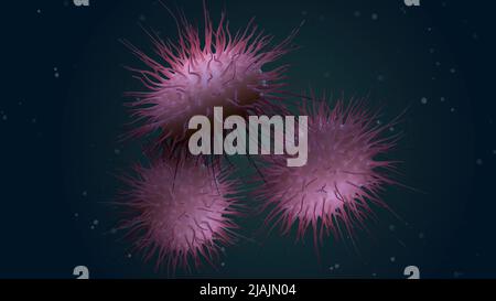 Biomedical illustration of Neisseria meningitidis, a bacterial meningitis. Stock Photo