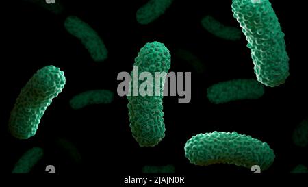 Conceptual biomedical illustration of the bacteria Bordetella pertussis, on black background. Stock Photo