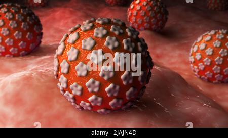 Conceptual biomedical illustration of genital warts on surface. Stock Photo
