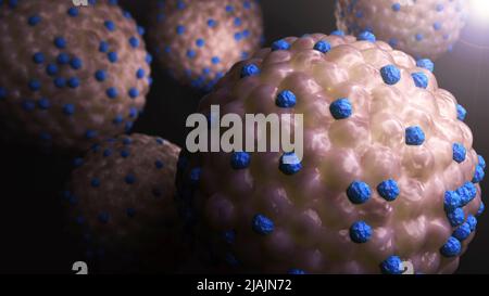 Conceptual biomedical illustration of the measles virus. Stock Photo