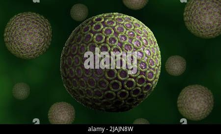 Conceptual biomedical illustration of Rift Valley fever. Stock Photo