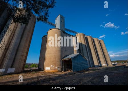 Disused Grain Silo's at Inverell, New South Wales, Australia, on the ...