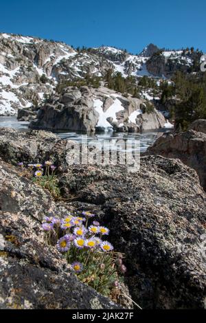 Donkey Lake is one of many alpine lakes in the Eastern Sierra of Inyo ...