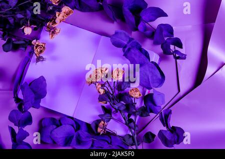 Dried yellow roses and an open blank notebook on a blank surface. Dried eucalyptus branches with leaves around them. An angled view from above. Stock Photo