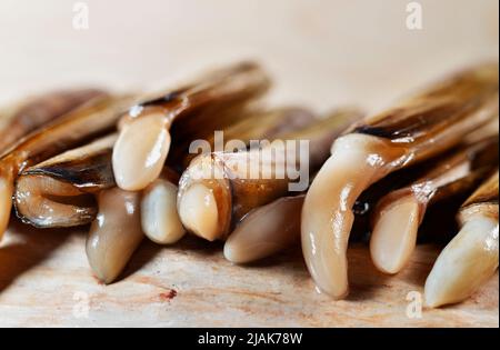 Elongated , rectangular razor shell , bivalve fish , solen marginatus , Stock Photo