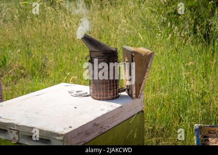 Bee smoker smoking on the top of a beehive Stock Photo