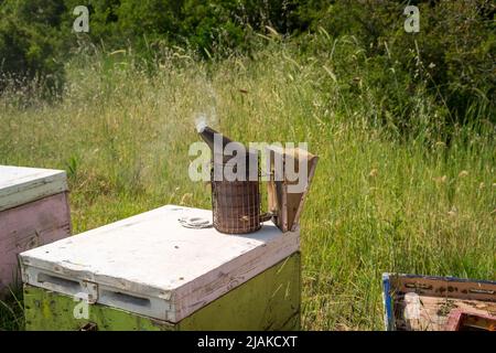 Bee smoker smoking on the top of a beehive Stock Photo