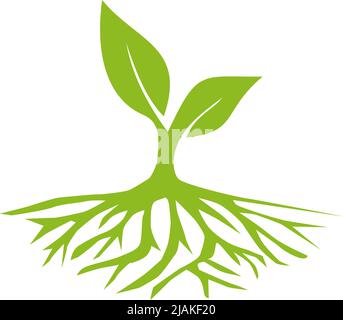 Tree logo icon design inspiration vector template Stock Vector
