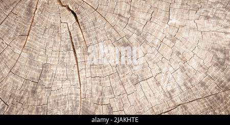 Natural beige wooden texture background, board wall and old panel wood grain wallpaper. Rustic pattern for design. Table plywood with decor Stock Photo