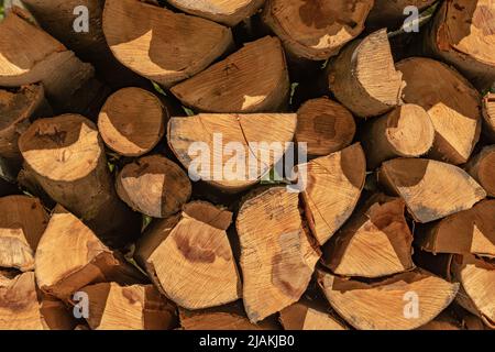 Pile of logs stacked up on each other with direct sunlight shining on them in the forest Stock Photo