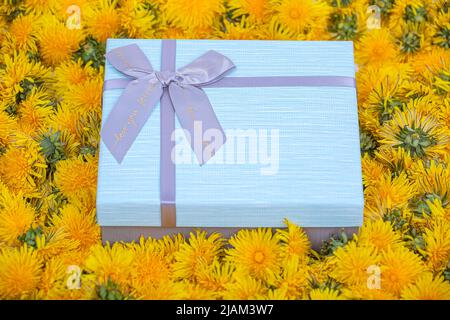 Grey-blue gift box with a bow surrounded by yellow dandelion flowers Stock Photo
