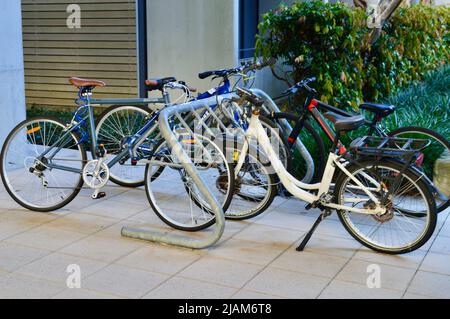 Snap shots at University of New South Wales Stock Photo