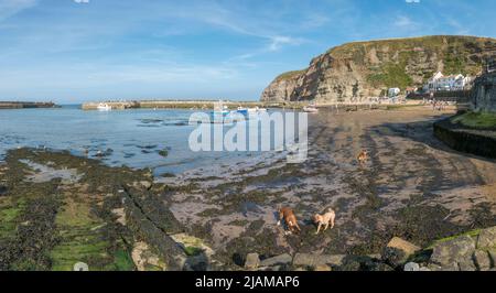 The beach and small harbour at Staithes, North Yorkshire, UK. Stock Photo