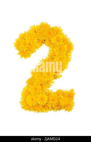 Figures from dandelion flowers isolated on a white background. Figure 2 Stock Photo