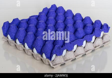 White chicken eggs in cardboard box. Packaged eggs to sell at the market. Isolated background Stock Photo