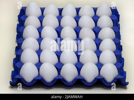 White chicken eggs in cardboard box. Packaged eggs to sell at the market. Isolated background Stock Photo