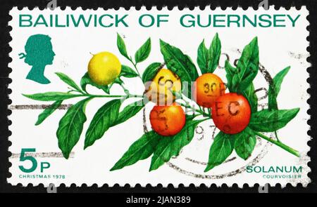 BAILIWICK OF GUERNSEY - CIRCA 1978: a stamp printed in the Guernsey shows Branch of Solanum Capsicastrum, Winter Cherry, circa 1978 Stock Photo