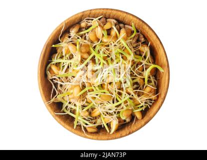 Whole wheat sprouts, germinated wheat seeds in wooden bowl isolated on white background. Directly above. Stock Photo