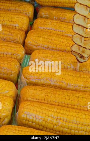 Cooked yellow organic corn cobs with plastic wrap for sale in street food stall and a skewer of fried potatoes Stock Photo