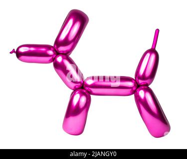 Shiny pink balloon model dog isolated on the white background Stock Photo