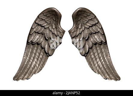 angel wings side view drawing