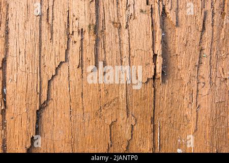 Brown wood texture cracked, dry. Abstract background, empty template Stock Photo