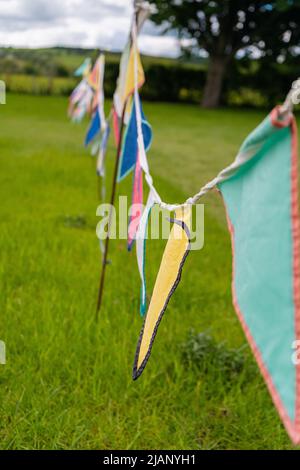 Colorful bunting flying with the wind on green grass field in spring. Celebration triangle flags in many colours stretched across the field to mark a Stock Photo