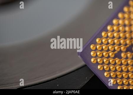 Closeup of CPU pins, gold connectors for central processing unit on personal computer.  Computing technology Stock Photo