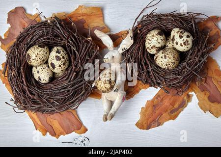 Soft toy hare and quail eggs in the nests on a white wooden background. Easter concept Stock Photo