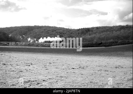 'Coal Tank' '1054' at Victoria Bridge with a Bewdley - Arley shuttle service. Stock Photo