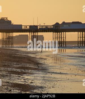 Dawn silhouettes of a man with a dog on the beach at low tide, Brighton & Hove, East Sussex, England, UK. Morning. Palace / Brighton Pier in the background. Stock Photo