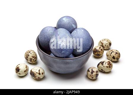 Quail eggs and colored chicken eggs in a bowl on a white background. Easter concept Stock Photo