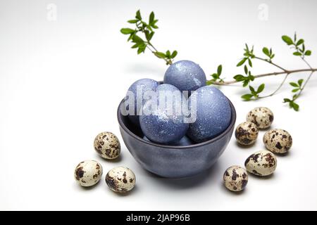 Painted chicken and quail eggs in a bowl and a branch with green leaves on a white background Stock Photo