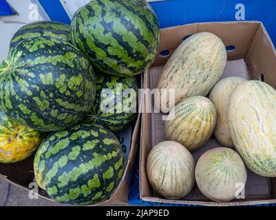 melons and watermelons in cardboard boxes on the market Stock Photo