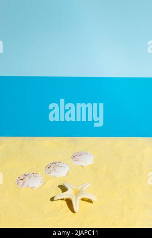 Summer scene with sea shells and starfish on the beach. Minimal aesthetic concept. Stock Photo