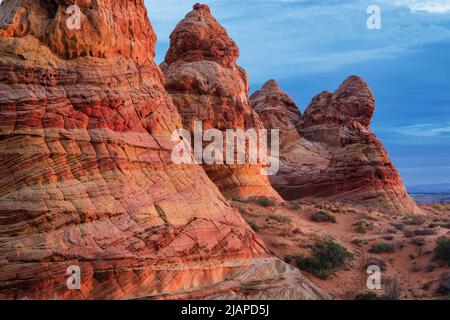 Vermilion Cliffs National Monument. Before highways and railways, before pioneers...the land we know as the United States was a vast wilderness. To protect these last remaining areas, in 1984 Congress created the Paria Canyon - Vermilion Cliffs Wilderness. Coyote Buttes' outstanding scenery, desert wildlife, colourful history, and opportunities for recreation are protected in this landscape for future generations. One of the most beautiful geological formations in the world.  An optimised / enhanced version of a US Bureau of Land Management photo. Credit BLM/B.Wick Stock Photo