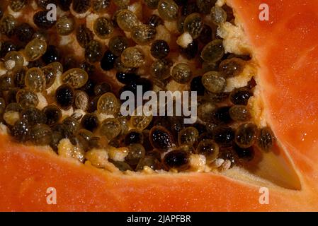 Detail of freshly cut Papaya. The papaya, papaw, or pawpaw is the plant Carica papaya, one of the 22 accepted species in the genus Carica of the family Caricaceae. It was first domesticated in Mesoamerica, within modern-day southern Mexico and Central America. In 2020, India produced 43% of the world supply of papayas. Stock Photo