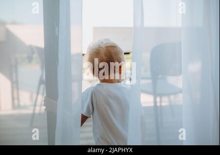 Cute baby girl playing,hiding behind curtains at home. Stock Photo
