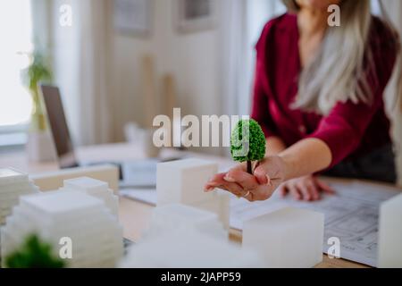 Close-up of senior women eco architects with model of modern bulidings and blueprints working together in office. Stock Photo