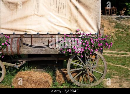 Western covered wagon in a field Stock Photo