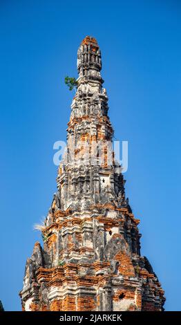 Wat Chaiwatthanaram, famous ruin temple near the Chao Phraya river in Ayutthaya, Thailand Stock Photo