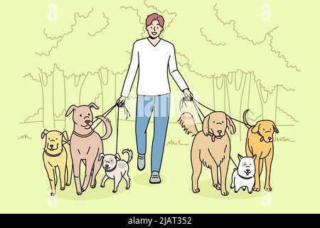 Smiling man walking dogs on leashes in park. Happy male walker provide professional pet walk service. Domestic animals care concept. Flat vector illustration.  Stock Vector