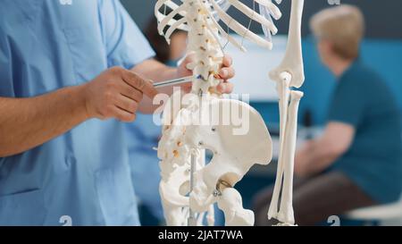 Physiotherapist pointing at back bones on human skeleton to explain pain and mechanical disorders, finding diagnosis for recovery. Medic showing spinal cord, osteopathy system. Close up. Stock Photo